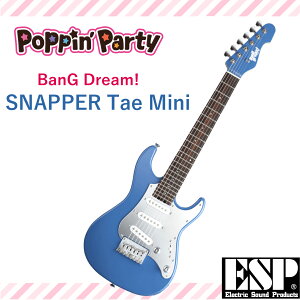 yӂ邳Ɣ[ŁzBanG Dream! SNAPPER Tae Mini ohI ~jM^[ ԉ f FAA-191