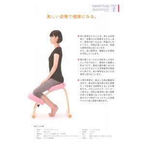 【ふるさと納税】バランス・イージー