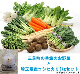 【ふるさと納税】三芳町の季節のお野菜と埼玉県産コシヒカリ3kgセット
