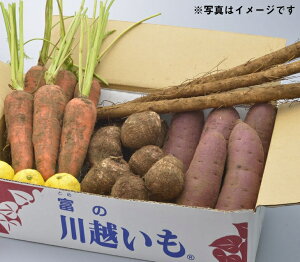 【ふるさと納税】落ち葉野菜セット