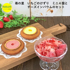 yӂ邳Ɣ[Łz䕂̗@̂~j4 & `[YCoE4Zbg
