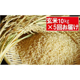 【ふるさと納税】特別栽培米「コシヒカリ」玄米50kg（10kg×5回のお届け）　【定期便・お米・コシヒカリ・定期便】