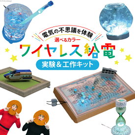 【ふるさと納税】 工作 実験 ワイヤレス 給電 実験 ＆ 工作キット 1セット 選べる色 [ビー・アンド・プラス 埼玉県 小川町 273] 体験 電気 ロボット 勉強 科学 おうち時間