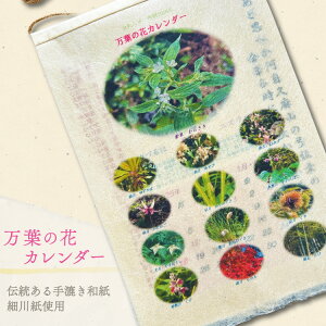 yӂ邳Ɣ[Łz t̉ԃJ_[iא쎆j VNx ߘa8N [NPO@lƖt̉ ʌ 쒬 045] J_[ ߘa 荗a ` ʌ