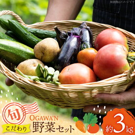 【ふるさと納税】 野菜 詰め合わせ 約3kg OGAWA'N [JA埼玉中央 埼玉県 小川町 135] やさい セット 野菜セット 詰合せ