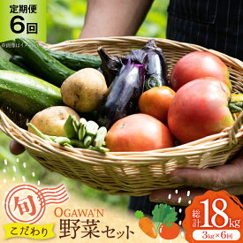 【ふるさと納税】 野菜 セット OGAWA'N 野菜セット 定期便 6回 [JA埼玉中央 埼玉県 小川町 137] 6ヶ月 連続 やさい 季節野菜 詰め合わせ 食べ比べ 旬 農産物