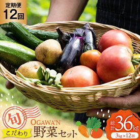 【ふるさと納税】 野菜 セット OGAWA'N 野菜セット 定期便 12回 [JA埼玉中央 埼玉県 小川町 138] 1年 12ヶ月 連続 やさい 季節野菜 詰め合わせ 食べ比べ 旬 農産物