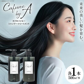 【ふるさと納税】 シャンプー トリートメント シャンプー 500ml 1本 トリートメント 500ml 1本 [pool 埼玉県 小川町 305] 美容 ヘアケア ヘア用品 日用品 髪 頭皮 濃密泡 栄養 栄養分 弱酸性 美髪 ツヤ髪 ヘアコスメ ヘアケアセット セット 贈り物 贈物 ご褒美 ふるさと納税