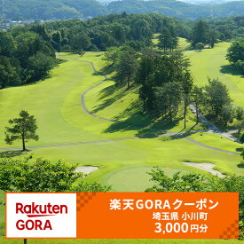 【ふるさと納税】 埼玉県小川町の対象ゴルフ場で使える楽天GORAクーポン 寄付額10,000円