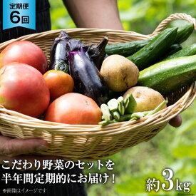 【ふるさと納税】No.137 OGAWA'N　野菜セットの定期便（6ヵ月連続）＜JA埼玉中央＞【埼玉県小川町】