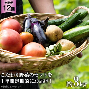 yӂ邳Ɣ[Łz No.138 OGAWA'N  Zbg   12 @ JAʒ y ʌ 쒬 z ؃Zbg ₳ Gߖ lߍ킹 { _Y