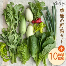 【ふるさと納税】季節の野菜セット小 [ 風の丘ファーム 埼玉県 小川町 205] 野菜 やさい 季節の野菜 野菜セット セット 詰め合わせ 旬 春 夏 秋 冬 季節