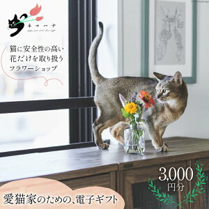 yӂ邳Ɣ[Łz ԑ lRni dqMtgR[h 3,000~ [lRni ʌ 쒬 260] ԑv[g  