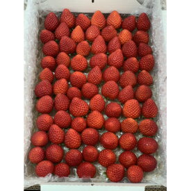【ふるさと納税】【希少あまりん】小粒でも1Kg! 朝採れ!【配送不可地域：離島】【1574010】
