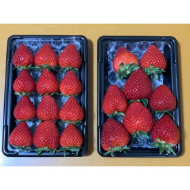 【ふるさと納税】【希少あまりん】2パック(500g) 朝採れ!!【配送不可地域：離島】【1574089】