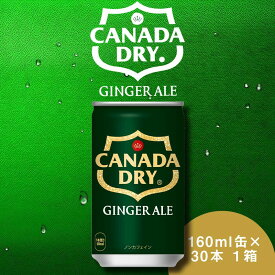 【ふるさと納税】カナダドライ ジンジャーエール 160ml×30本 1ケース 缶 160ml 炭酸飲料 甘さ控えめ ギフト 贈答 贈り物 お中元 お歳暮