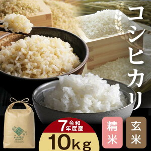 yӂ邳Ɣ[Łz[ߘa7NY]ʌSgY RVqJ yāzyāz 10kg