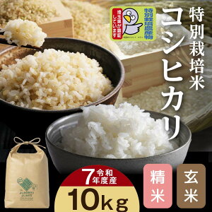 yӂ邳Ɣ[Łzyߘa7NYzʌSgY ʍ͔|ăRVqJyāzyāz10kg