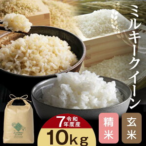 yӂ邳Ɣ[ŁzʌSgY ~L[NC[ yāzyāz10kg