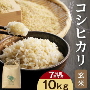 yӂ邳Ɣ[Łz[ߘa7NY]ʌSgY RVqJ yāz 10kg
