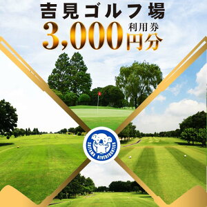 yӂ邳Ɣ[ŁzgSt p 3,000~×1 St 3000~  v[ p `Pbg N[| X|[c