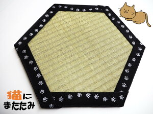 yӂ邳Ɣ[ŁzꋉZ\mCeA Lɂ܂ 35cm×35cm Zp` CeA  G {X El ` Mtg 蕨 v[g