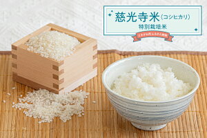 yӂ邳Ɣ[ŁzāiRVqJj6kg
