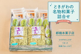 【ふるさと納税】ときがわの名物和菓子詰合せ