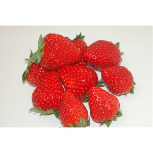 �y�ӂ邳�Ɣ[�Łz������ ��悢�Ђ� 300g×4�p�b�N | ������ �C�`�S � ��悢�Ђ�