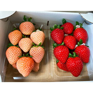 �y�ӂ邳�Ɣ[�Łz�g���������u���܂��i�ԁj�v�Ɓu�W��i���j�v2�p�b�N