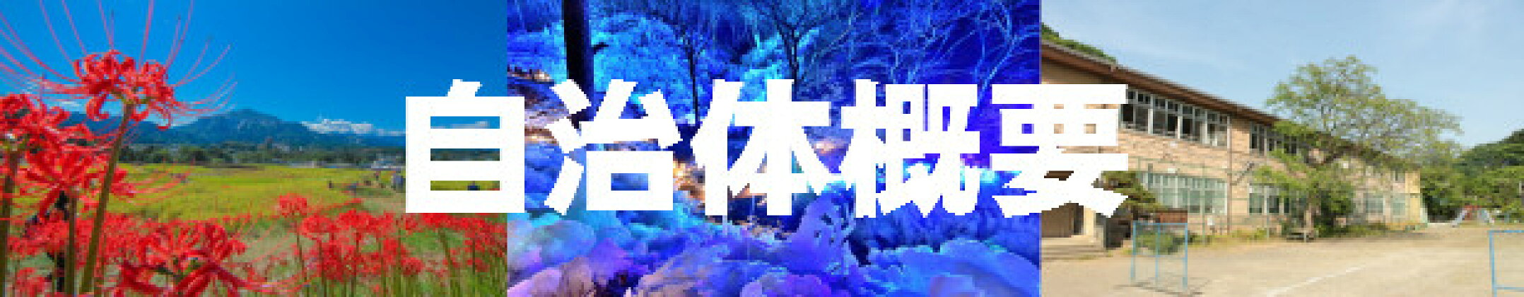自治体概要
