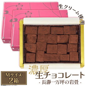 【ふるさと納税】生チョコレート 生クリーム カカオ 濃厚 とろける 急速冷凍 プレゼント ギフト 贈り物 名物 名産 送料無料 生チョコレート Mサイズ 2箱「長瀞一万坪の岩畳」約133g