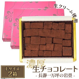 【ふるさと納税】生チョコレート 生クリーム カカオ 濃厚 とろける 急速冷凍 プレゼント ギフト 贈り物 名物 名産 送料無料 生チョコレート Lサイズ 2箱「長瀞一万坪の岩畳」約189g