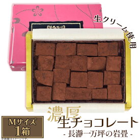 【ふるさと納税】生チョコレート 生クリーム カカオ 濃厚 とろける 急速冷凍 プレゼント ギフト 贈り物 名物 名産 送料無料 生チョコレート「長瀞一万坪の岩畳」Mサイズ（約133g）