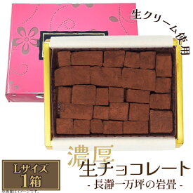 【ふるさと納税】生チョコレート 生クリーム カカオ 濃厚 とろける 急速冷凍 プレゼント ギフト 贈り物 名物 名産 送料無料 生チョコレート「長瀞一万坪の岩畳」Lサイズ（約189g）