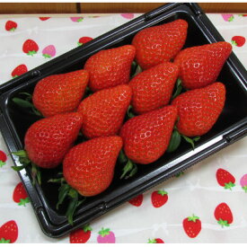 【ふるさと納税】いちご260g×4パック入り(品種お任せ)【配送不可地域：離島・北海道・沖縄県・中国・四国・九州】【1382563】