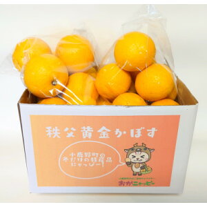 yӂ邳Ɣ[Łzڂ2kg@~̓Yiyƒpzy1566419z