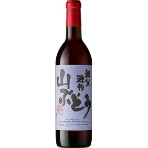 yӂ邳Ɣ[ŁzCyRԂǂz720ml×1{y1635383z