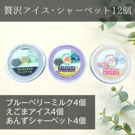 【ふるさと納税】 【美里町特産品使用】贅沢アイス・シャーベット12個セット（3種類：えごま・ブルーベリー＆えごま・あんず） ／ エゴマ アンズ 果汁 ブレンド 送料無料 埼玉県 No.045