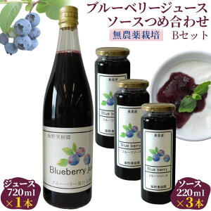 yӂ邳Ɣ[Łz iBZbgju[x[W[XE\[Xߍ킹yіʎ ̖_͔|Iz ^ Zbg lߍ킹  ʌ No.152