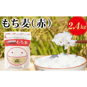 yӂ邳Ɣ[ŁzʌYiԁj2.4kgi800g×3܁j ^ L` H@ v`v`H  ʌ No.173