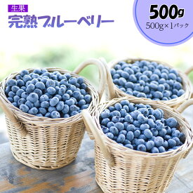 【ふるさと納税】 完熟ブルーベリー500g（生果）＜期間限定＞【ブルーベリー王国美里町からお届け！】 ／ 果実 厳選 完熟 送料無料 埼玉県 No.174