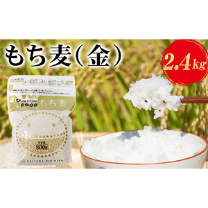 yӂ邳Ɣ[ŁzʌYij2.4kgi800g×3܁j ^ L` H@ v`v`H  ʌ No.175