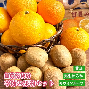 yӂ邳Ɣ[Łz _͔|@G߂̉ʕZbg ^ t[c LECt[c É ͂邩 l  ʌ No.203