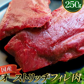 【ふるさと納税】 国産オーストリッチお試しフィレ肉250g ／ ダチョウ肉 冷凍 オストリッチ 肉 ギフト 贈答 送料無料 埼玉県 No.023