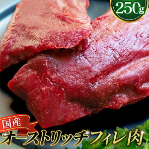 yӂ邳Ɣ[Łz YI[Xgb`tB250g ^ _`E Ⓚ IXgb`  Mtg   ʌ No.023