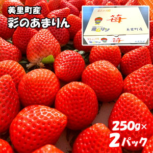 yӂ邳Ɣ[Łz Yyʂ̂܂zi250gȏ×2pbNj ^  C`S Vi r^~  ʌ No.169