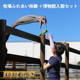 【ふるさと納税】牧場ふれあい体験＋博物館入館セット【お土産付き】 ／ ダチョウ チケット オーストリッチ 送料無料 埼玉県 No.210