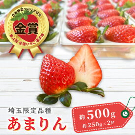 【ふるさと納税】【先行予約】埼玉県限定品種あまりん(250g×2パック) 約500g_ いちご あまりん 約250g×2パック 冷蔵 濃厚 爽やか 酸味 美味しい 人気 おすすめ【配送不可地域：離島】【1687064】