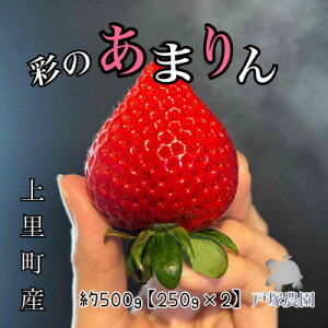 �y�ӂ邳�Ɣ[�Łz��ʌ�����i�킠�܂�� ��500g�y�z���s�n��F�����z�y1687064�z